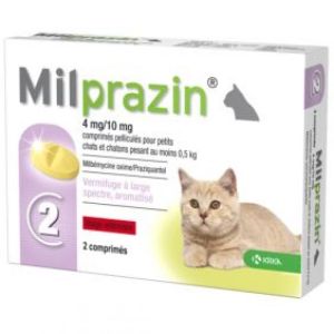 Milprazin Chat 4/10mg vermifuge 2 comprimés